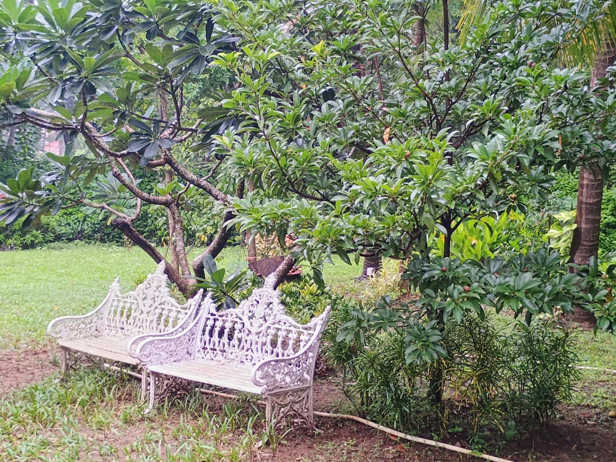 Banyan House - Luxurious 4 Bedroom Villa On One Acre, Near The Beach Nagaon  Exterior photo